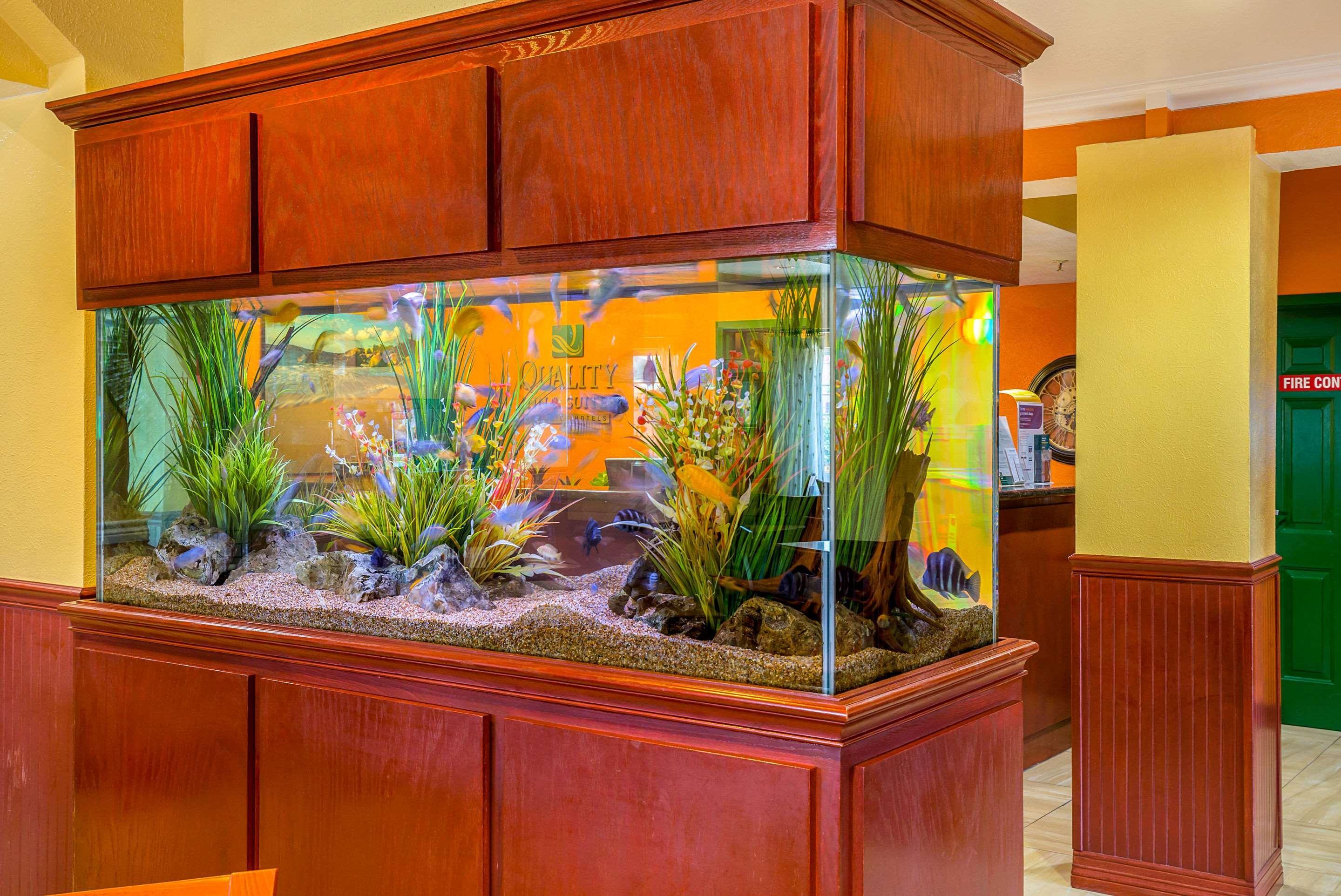 Quality Inn & Suites Galveston - Beachfront Buitenkant foto